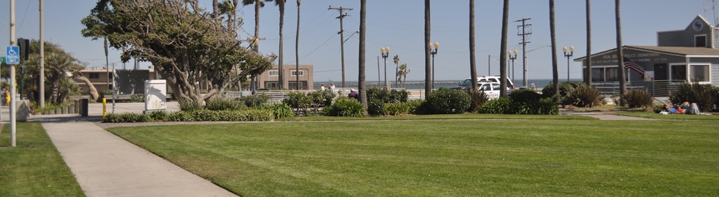 Eisenhower Park - Ocean Avenue & Main Street